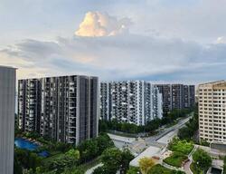 Blk 875B Tampines GreenBloom (Tampines), HDB 4 Rooms #504541971